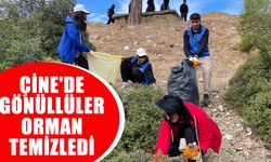 Çine'de gençlik merkezi gönüllüleri orman temizledi