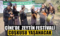 Çine’de  zeytin festivali coşkusu yaşanacak