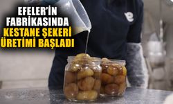 Efeler’in fabrikasında kestane şekeri üretimi başladı