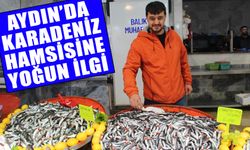 Aydın’da Karadeniz hamsisine yoğun ilgi