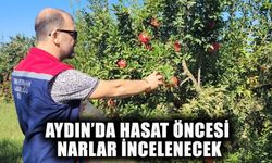 Aydın’da hasat öncesi narlar incelenecek