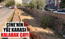 Çine’nin yüz karası: Kalabak Çayı