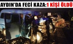 Aydın’da feci kaza:1 kişi öldü, 3 kişi yaralandı