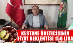 Nazilli’de kestane hasadı sürüyor