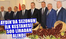 Aydın’da sezonun ilk kestanesi 500 liradan alındı