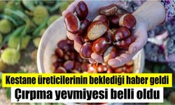 Kestane üreticilerinin beklediği haber geldi