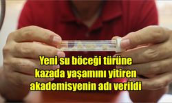 Yeni su böceği türüne kazada yaşamını yitiren akademisyenin adı verildi