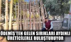 Ödemiş’ten gelen sırıkları Aydınlı üreticilerle buluşturuyor