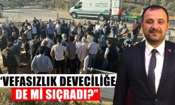 Sümer: “Vefasızlık deveciliğe de mi sıçradı?”