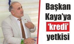 Başkan Kaya'ya 'kredi' yetkisi