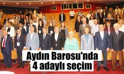 Aydın Barosu'nda 4 adaylı seçim