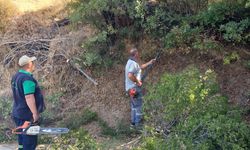 Nazilli Belediyesi’nden merkezden kırsala eşit hizmet