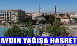 Aydın yağışa hasret