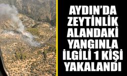 Aydın’da zeytinlik alandaki yangınla ilgili 1 kişi yakalandı