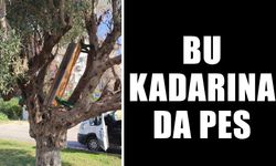 Kuşadası’nda vandallar bu kadarına da pes dedirtti