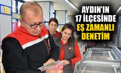 Aydın’ın 17 ilçesinde eş zamanlı denetim