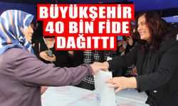 Büyükşehir 40 bin fide dağıttı