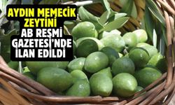 Aydın Memecik Zeytini, AB Resmi Gazetesi’nde ilan edildi