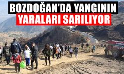 Bozdoğan’da yangının yaraları sarılıyor