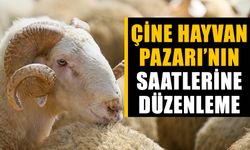 Çine Hayvan Pazarı’nın saatlerine düzenleme