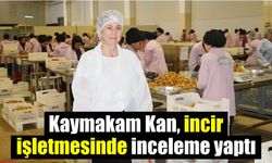 Kaymakam Kan, incir işletmesinde inceleme yaptı