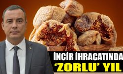 İncir ihracatında ‘zorlu’ yıl