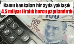 Kamu bankaları bir ayda yaklaşık 4,5 milyar liralık borcu yapılandırdı