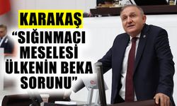 Karakaş: “Sığınmacı meselesi, ülkenin beka sorunu”