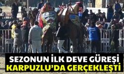 Sezonun ilk deve güreşi Karpuzlu’da gerçekleşti