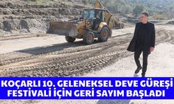 Koçarlı 10. Geleneksel Deve Güreşi Festivali için geri sayım başladı