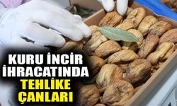 Kuru incir ihracatında tehlike çanları