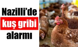 Nazilli’de kuş gribi alarmı