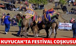 Kuyucak’ta festival coşkusu