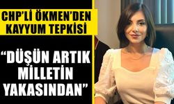 CHP’li Ökmen’den kayyum tepkisi