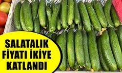 Salatalığa büyük zam