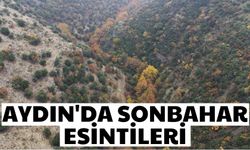 Aydın'da sonbahar esintileri