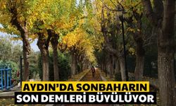 Aydın’da sonbaharın son demleri büyülüyor