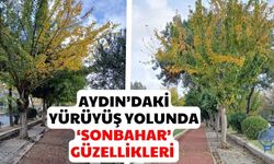 Aydın’daki yürüyüş yolunda ‘sonbahar’ güzellikleri