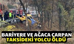 Bariyere ve ağaca çarpan taksideki yolcu öldü