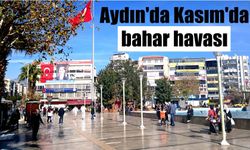 Aydın’da Kasım ayında bahar havası