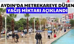 Aydın’da metrekareye düşen yağış miktarı açıklandı