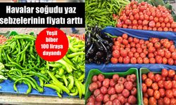 Havalar soğudu yaz sebzelerinin fiyatı arttı