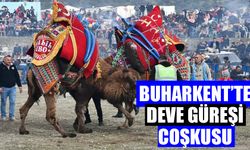 Buharkent'te deve güreşi coşkusu