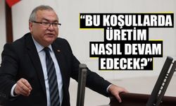 CHP’li Bülbül çiftçinin sesi oldu