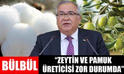 Bülbül: “Zeytin ve pamuk üreticisi zor durumda”