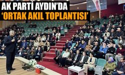 AK Parti Aydın’da ‘Ortak Akıl Toplantısı’