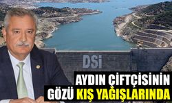 Aydın çiftçisinin gözü kış yağışlarında