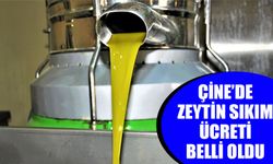 Çine’de zeytin sıkım ücreti belli oldu