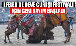 Efeler’de deve güreşi festivali için geri sayım başladı