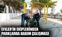 Efeler’in ekiplerinden parklarda bakım çalışması